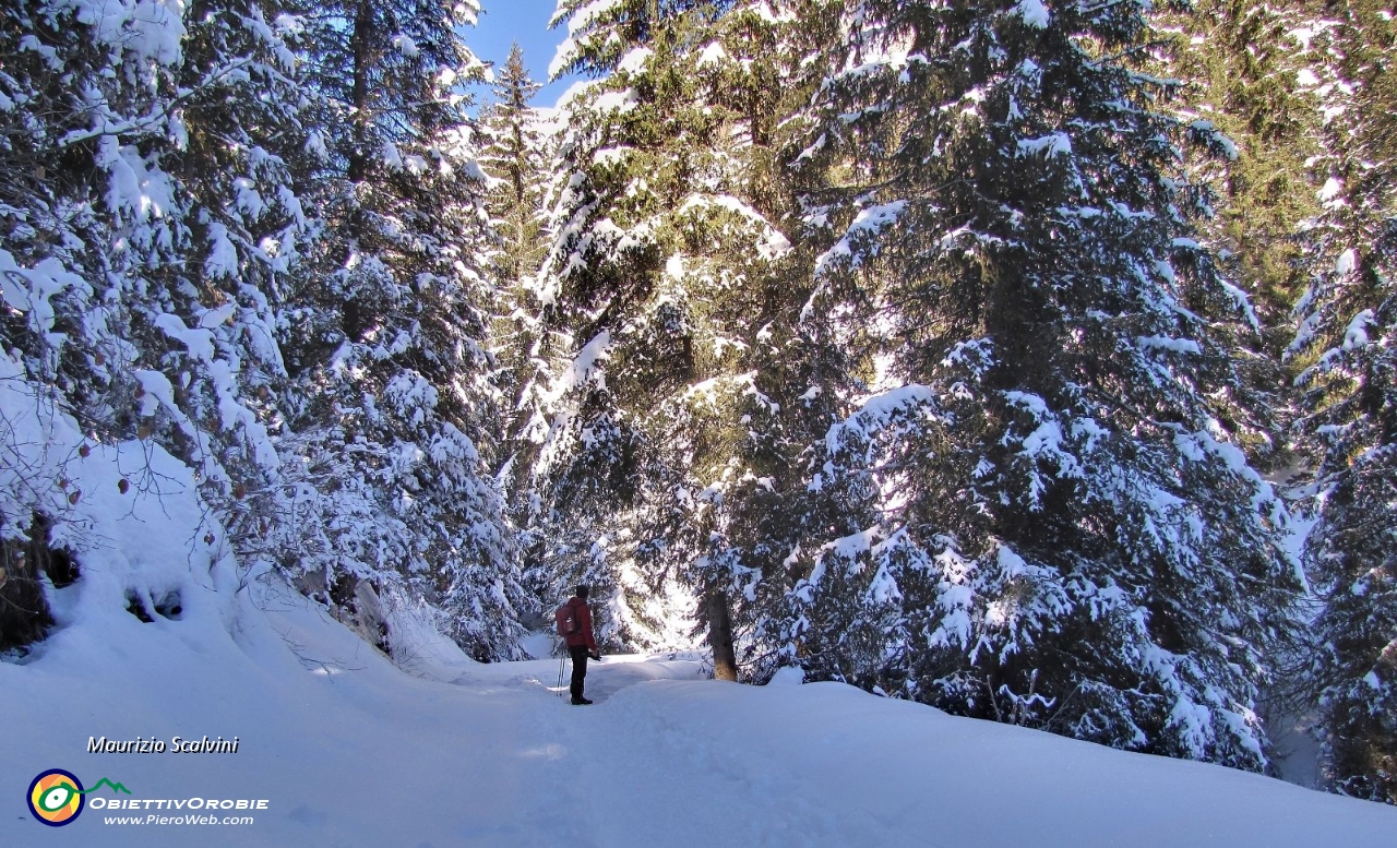 05 Nel bosco....JPG